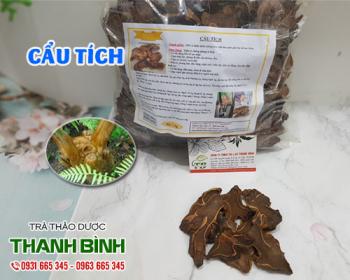 Mua bán cẩu tích tại quận đống đa có tác dụng giúp làm mạnh gân cốt