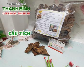 Mua bán cẩu tích tại sơn tây giúp làm giảm đau nhức do phong tê thấp