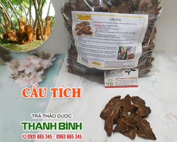 Mua bán cẩu tích tại dak lak có tác dụng giảm đau nhức do phong tê thấp