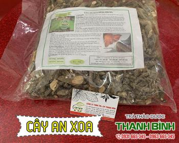 Cây an xoa có điều trị viêm gan giải độc gan không? cùng tìm hiểu nào!