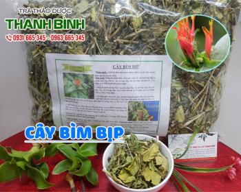 Mua bán cây bìm bịp tại quận long biên tăng cường chức năng cho gan