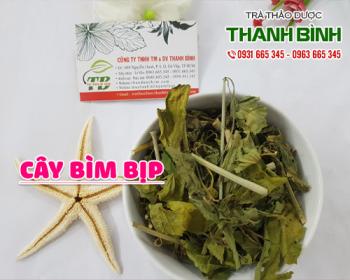 Mua bán cây bìm bịp tại huyện mê linh có công dụng điều trị bệnh gout