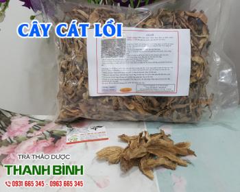 Mua bán cây cát lồi ở quận tân bình chữa trị ghẻ lở do nóng trong