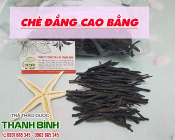 Mua bán chè đắng cao bằng ở quận bình tân điều trị viêm phế quản