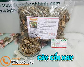 Cây cối xay [tác dụng thanh nhiệt, cách dùng] địa chỉ mua bán tốt nhất ở đâu?