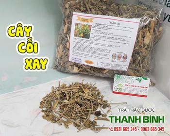 Mua bán cây cối xay tại quận 3 giúp mát gan, thanh nhiệt tiêu viêm rất tốt