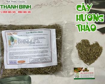Cây hương thảo [công dụng cách dùng] mua ở đâu uy tín? 