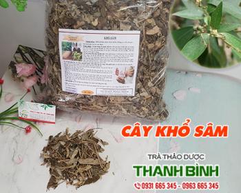 Mua bán cây khổ sâm tại khánh hòa có tác dụng ngăn ngừa xơ vữa mạch máu