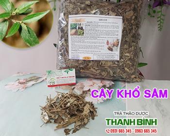 Mua bán cây khổ sâm tại quận cầu giấy giúp điều trị ăn uống kém rất tốt