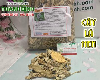 Mua cây lá hen ở đâu tại tphcm ???