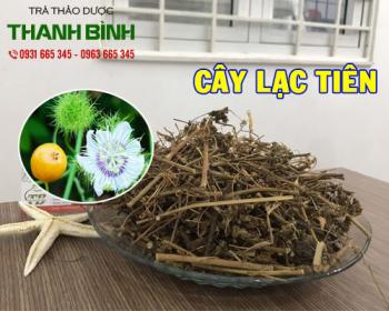 Mua bán cây lạc tiên ở quận thủ đức điều trị căng thẳng và mệt mỏi
