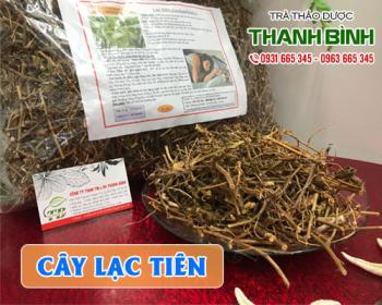 Mua bán cây lạc tiên tại huyện phú xuyên sử dụng để điều trị ghẻ ngứa