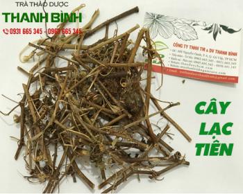 Mua bán cây lạc tiên tại quận 10 sẽ giúp mát gan và giải độc cơ thể