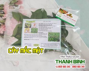 Mua cây mắc mật ở đâu tại tphcm?