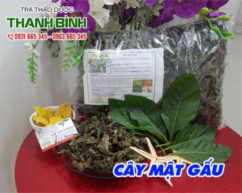 Mua bán cây mật gấu tại quận hoàn kiếm trị vàng da và vàng mắt