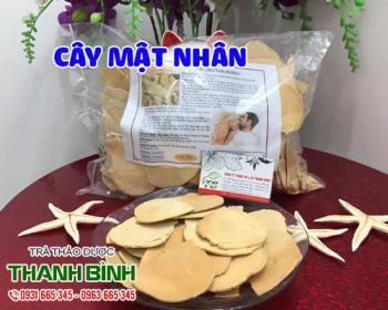 Mua bán cây mật nhân tại huyện gia lâm dùng để ngâm rượu chữa bệnh