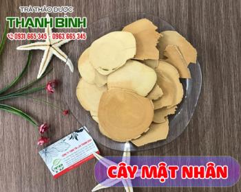 Mua bán cây mật nhân tại huyện mê linh giúp giảm nhức mỏi xương khớp
