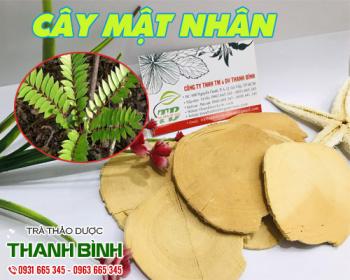 địa điểm bán cây mật nhân hỗ trợ điều trị vô sinh uy tín chất lượng nhất
