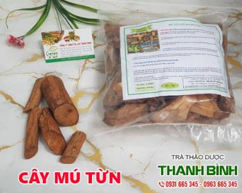 địa chỉ bán cây mú từn điều trị chứng liệt dương chất lượng nhất