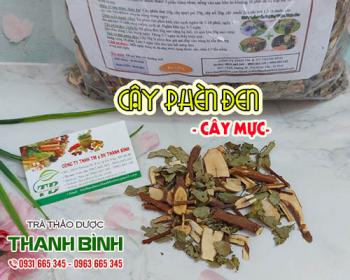Mua cây phèn đen ở đâu tại tphcm?