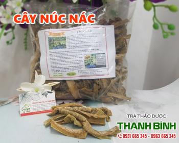 địa chỉ bán cây núc nác trong chữa viêm phế quản chất lượng nhất