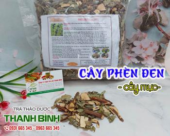 Cây phèn đen [công dụng cách sử dụng] mua ở đâu nguyên chất?