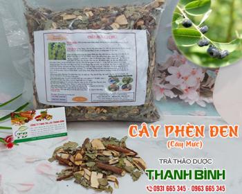 địa chỉ bán cây phèn đen hỗ trợ điều trị gai cột sống tại hà nội 