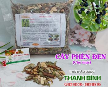 Mua bán cây phèn đen tại bắc giang giúp giảm đau nhức ở đầu gối rất tốt