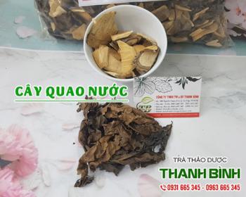Mua bán cây quao nước tại huyện thanh trì chữa ứ huyết ở nữ giới rất tốt