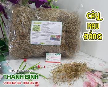 Mua cây rau đắng ở đâu tại tphcm ???