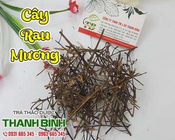 Mua bán cây rau mương tại huyện phúc thọ giúp kháng viêm cho vết thương
