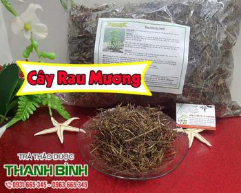 Cây rau mương hỗ trợ điều trị viêm dạ dày và lợi tiêu hóa cực hay