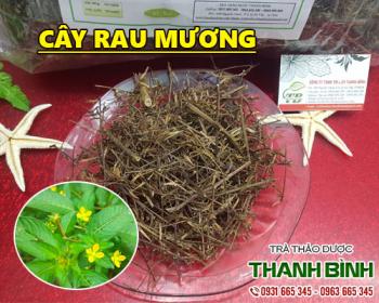 Mua bán cây rau mương ở quận nhà bè có tác dụng chữa bệnh dạ dày
