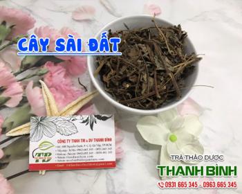 Mua bán cây sài đất tại huyện đông anh chữa sởi phát ban da hiệu quả