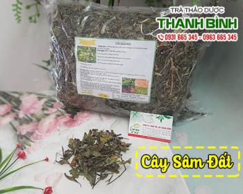 Mua cây sâm đất ở đâu tại tphcm ???