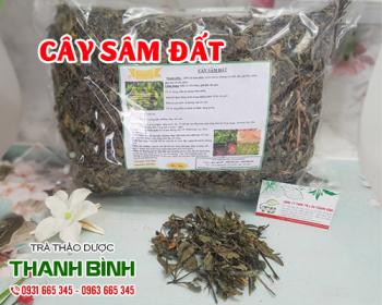 Mua bán cây sâm đất tại quận 11 giúp điều hòa huyết áp, tốt cho tim mạch