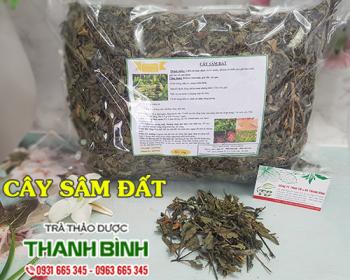 Mua bán cây sâm đất tại dak lak có tác dụng bồi bổ sức khỏe uy tín nhất