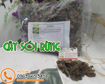 Mua bán cây sói rừng ở huyện cần giờ làm cải thiện chứng đau nhức, tê bì