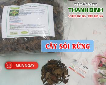 Mua bán cây sói rừng tại huyện phúc thọ có tác dụng hỗ trợ điều trị bỏng 