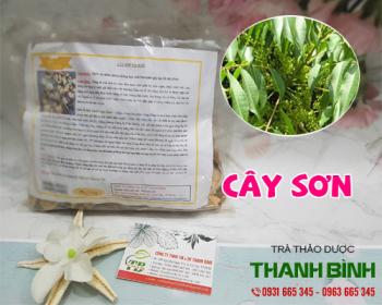 Mua bán cây sơn ở huyện bình chánh trị mụn đầu trắng dưới da