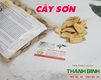 Mua bán cây sơn tại quận 4 trị lở ngứa và mụn trứng cá
