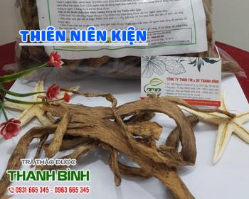 Mua bán thiên niên kiện tại huyện mê linh tốt cho người đau nhức xương khớp