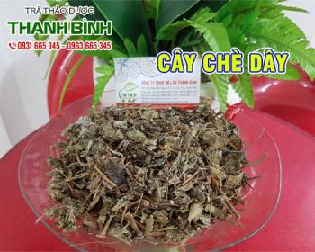 Mua bán chè dây giá rẻ uy tín chất lượng nhất ở đâu ?