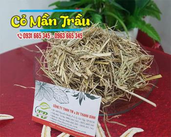 Cỏ mần trầu giúp phục hồi tóc, trị mụn và bảo vệ gan bạn đã biết ?