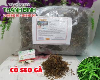 Mua bán cỏ seo gà tại quận thanh xuân giúp làm dịu các vết bỏng nhẹ