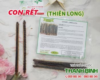 Mua bán con rết tại quận 1 giúp phòng chống các cơn co giật