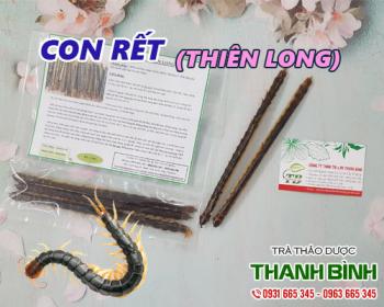 Mua bán con rết tại tphcm uy tín chất lượng tốt nhất