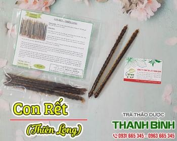 Mua bán con rết tại huyện từ liêm hỗ trợ ngăn ngừa vi khuẩn lao xâm nhập