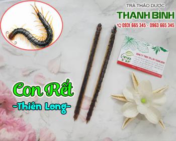 Mua con rết (thiên long) ở đâu tại tphcm ???