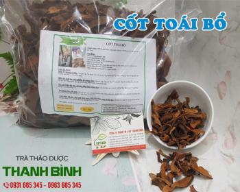 Mua bán cốt toái bổ tại tphcm uy tín chất lượng tốt nhất